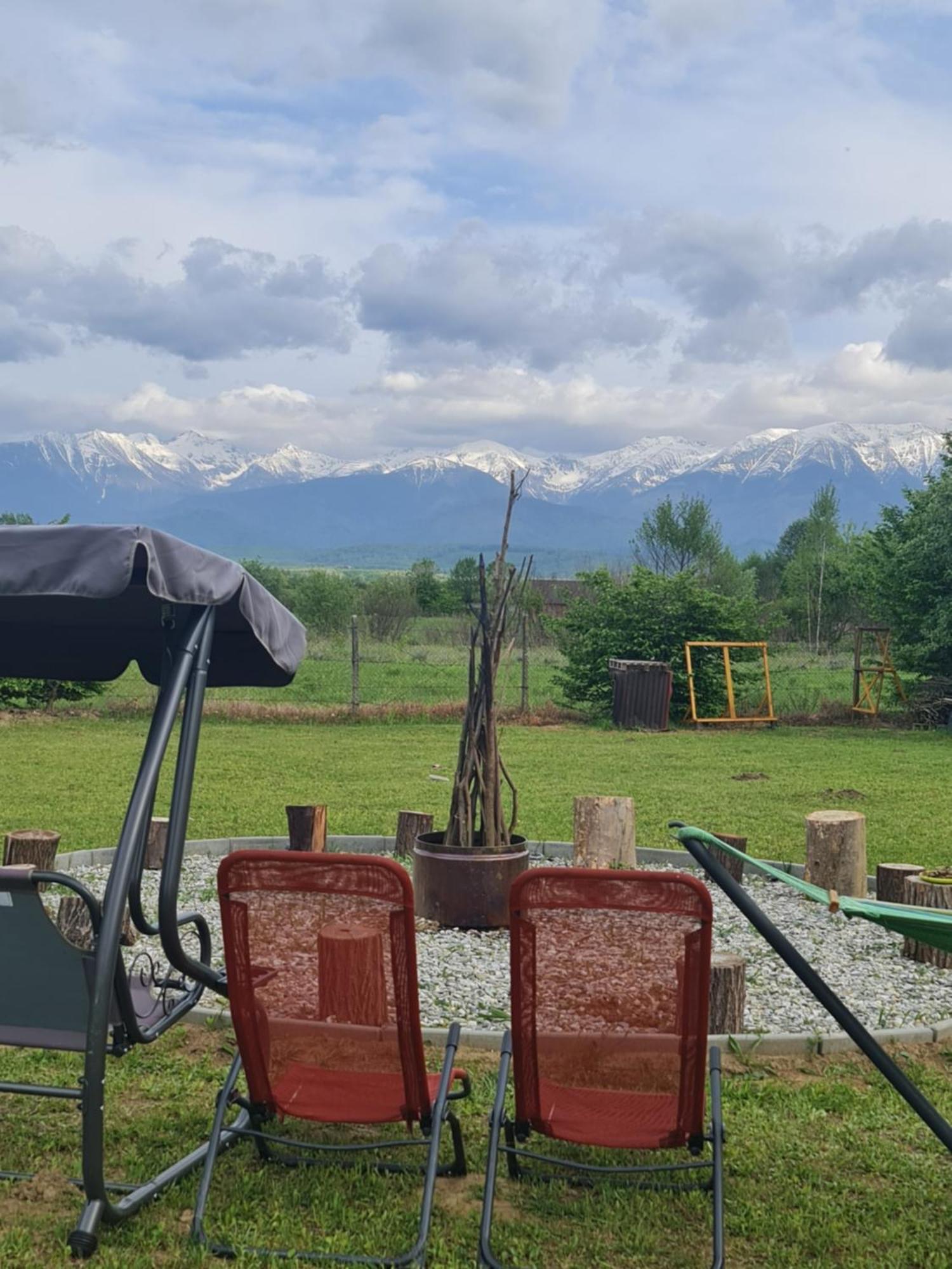 Casute In Mijlocul Naturii - Wild Camp אווריג מראה חיצוני תמונה